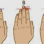 La longueur de vos doigts révèle beaucoup plus sur votre personnalité