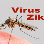Maladie à virus Zika