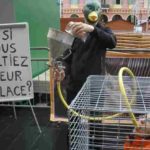 Journée mondiale contre le foie gras 2021