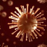 Les échovirus : Symptômes, traitements et prévention