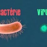 Quelle est la différence entre une infection bactérienne et une infection virale?