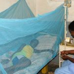 Journée mondiale de lutte contre le paludisme 2021