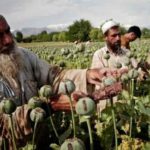 L’économie de l’Afghanistan