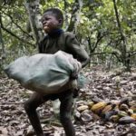 Classement des pays producteurs de Cacao