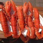 Pourquoi les homards deviennent-ils rouges lorsqu’ils sont cuits?