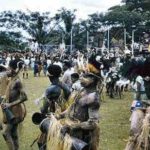 Population de la Papouasie-Nouvelle-Guinée 2020