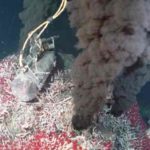 Évents hydrothermaux
